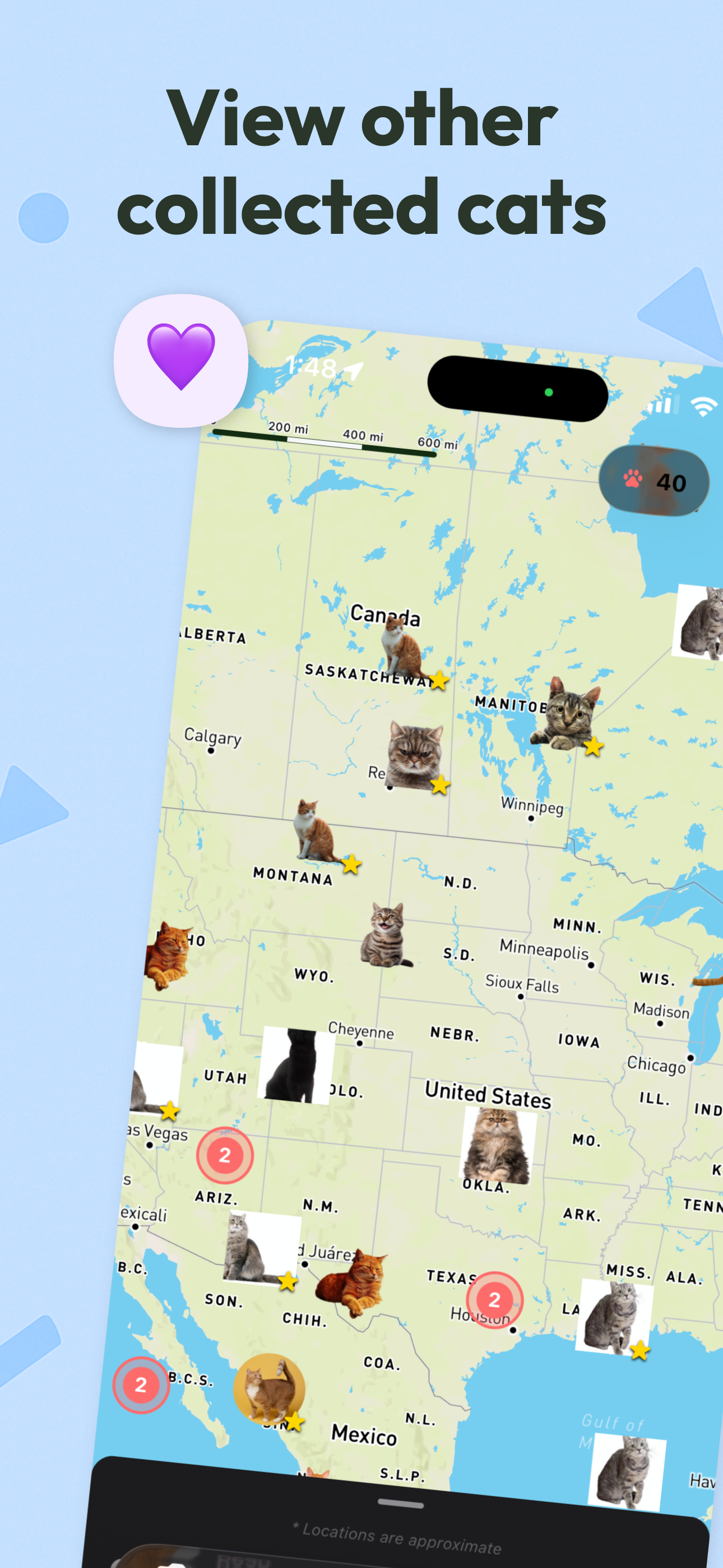 Pawsport: Cat Travel Passport project preview