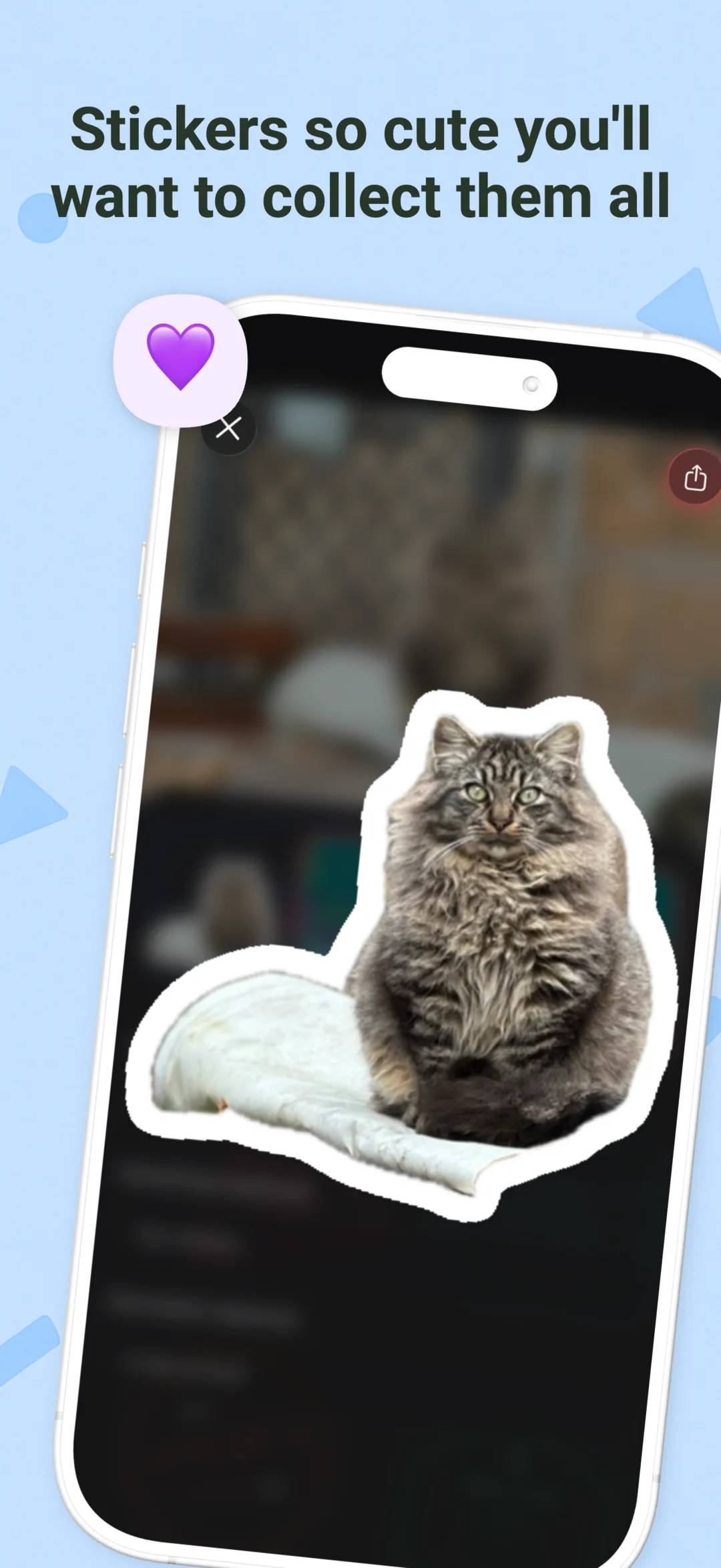 Pawsport: Cat Travel Passport screenshot 8