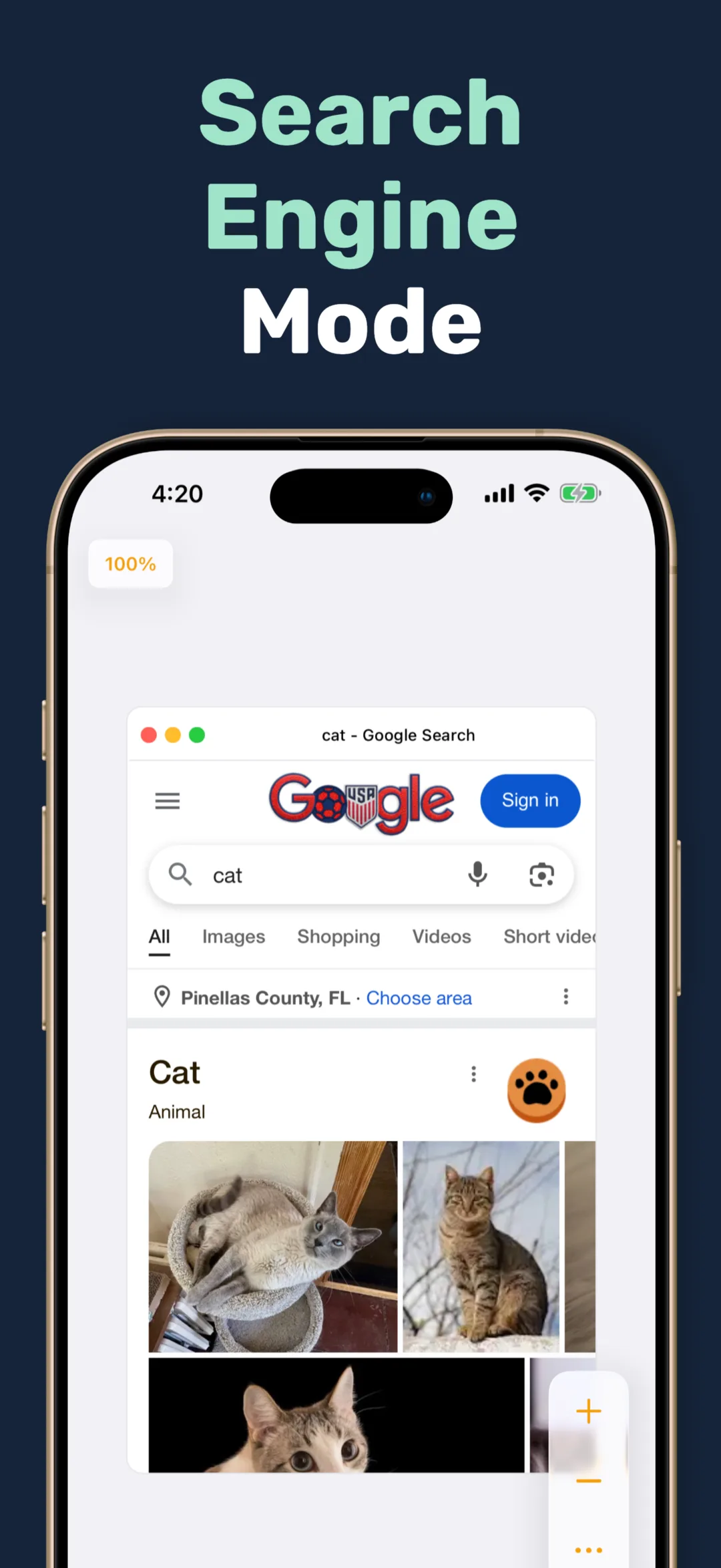 Web Canvas: Spatial Browser screenshot 4