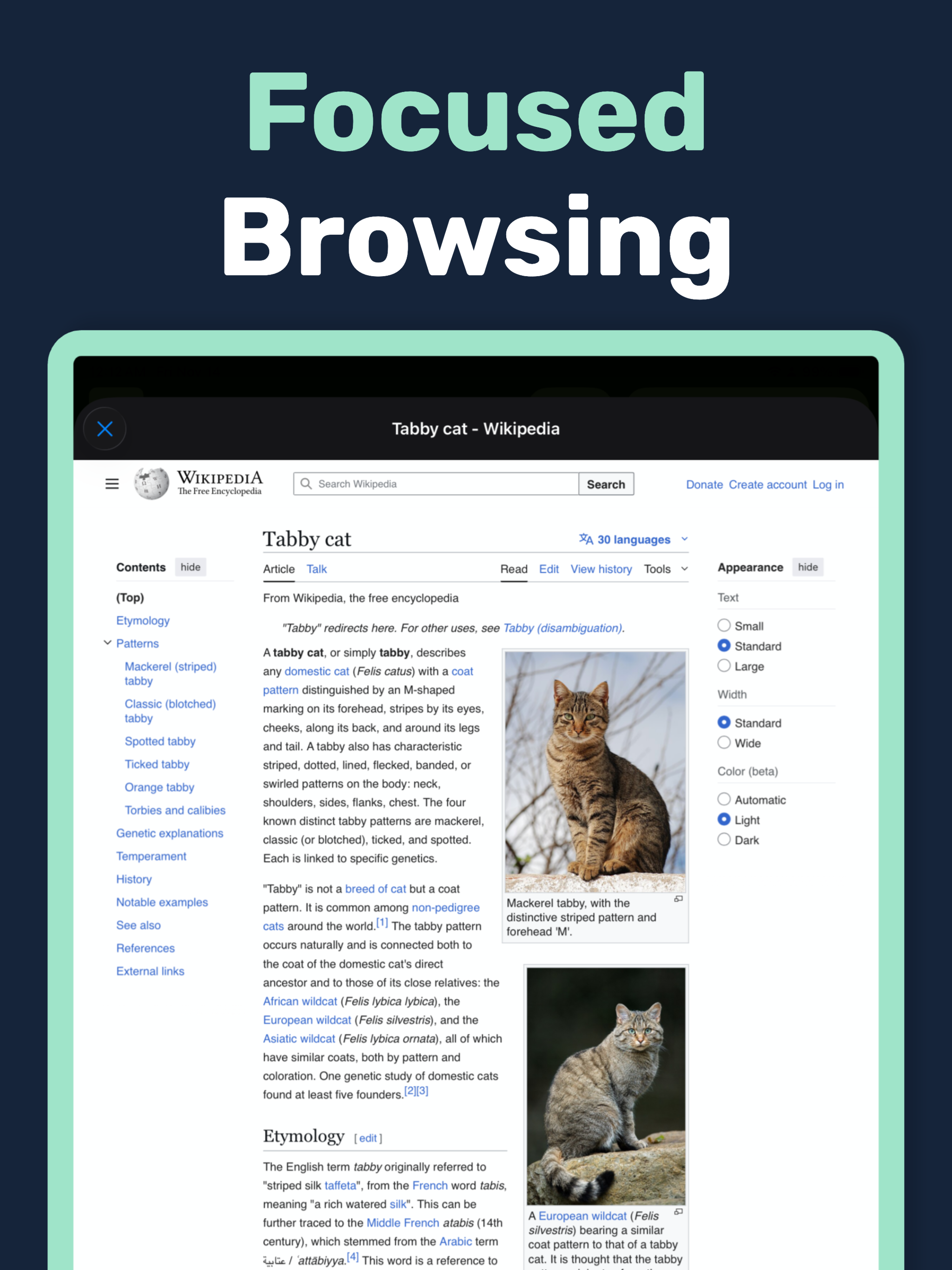 Web Canvas: Spatial Web Browsing screenshot 5