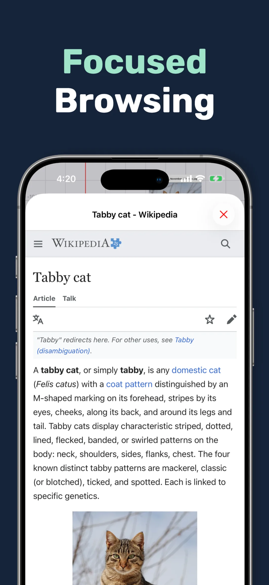 Web Canvas: Spatial Browser screenshot 7